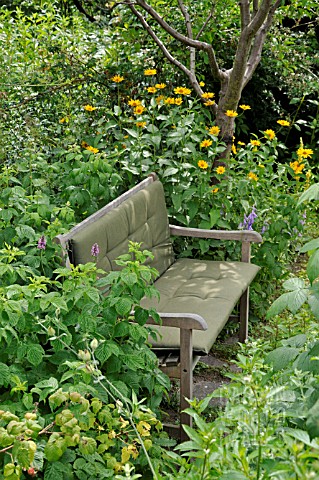 WOODEN_BENCH_IN_A_NATURAL_GARDEN_DESIGN_SUSANNA_KOMISCHKE