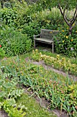 VEGETABLE BEDS IN A NATURAL GARDEN. DESIGN: SUSANNA KOMISCHKE