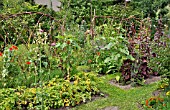 VEGETABLE BEDS IN A NATURAL GARDEN. DESIGN: SUSANNA KOMISCHKE