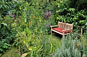 WOODEN BENCH IN A NATURAL GARDEN. DESIGN: SUSANNA KOMISCHKE