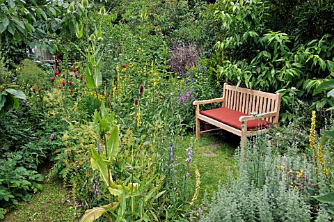 WOODEN_BENCH_IN_A_NATURAL_GARDEN_DESIGN_SUSANNA_KOMISCHKE