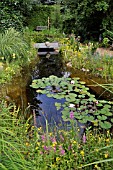 GARDEN POND WITH WATER LILIES. DESIGN: MARIANNE AND DETLEF LUEDKE