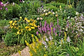 HEMEROCALLIS, LYSIMACHIA PUNCTATA, LYTHRUM SALICARIA. DESIGN: MARIANNE AND DETLEF LUEDKE