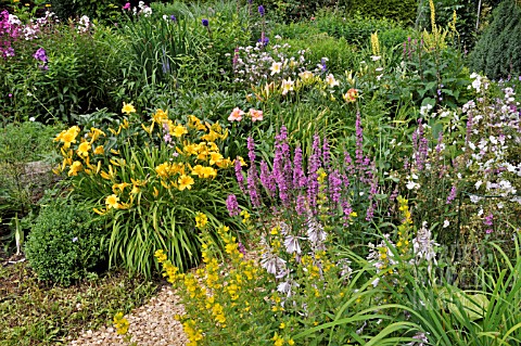 HEMEROCALLIS_LYSIMACHIA_PUNCTATA_LYTHRUM_SALICARIA_DESIGN_MARIANNE_AND_DETLEF_LUEDKE