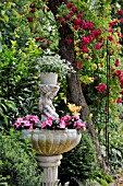 EUPHORBIA HYPERICIFOLIA DIAMOND FROST  SPURGE  IMPATIENS WALLERIANA  BUZY LIZZIE  IN A FOUNTAIN. DESIGN: MARIANNE AND DETLEF LUEDKE