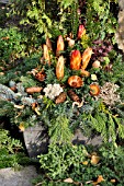 GRAVE DECORATION WITH FIR BRANCHES, CONES AND DRIED FLOWERS