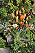 GRAVE DECORATION WITH FIR BRANCHES, CONES AND DRIED FLOWERS