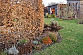 AUTUMNAL ALLOTMENT GARDEN