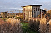 AUTUMNAL ALLOTMENT GARDEN