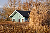 AUTUMNAL ALLOTMENT GARDEN WITH BLUE GARDEN HOUSE