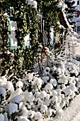 FRONT GARDEN WITH SNOW-COVERED SHRUBS