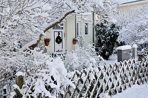 FRONT_GARDEN_WITH_SNOWCOVERED_TREES_AND_SHRUBS