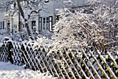 FRONT GARDEN WITH SNOW-COVERED SHRUBS