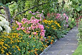 RUDBECKIA FULGIDA, CALENDULA OFFICINALIS, PHLOX PANICULATA, AND CAMPANULA