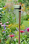 RAIN GAUGE IN A PERENNIAL GARDEN