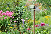 RAIN GAUGE IN A PERENNIAL GARDEN