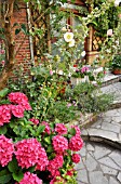 HYDRANGEA, AND ALCEAS IN A FRONT GARDEN. DESIGN: JUTTA WAHREN