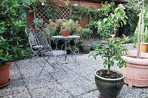 SEATING_AREA_WITH_POTTED_PLANTS_DESIGN_MARIANNE_AND_DETLEF_LUEDKE