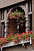 BALCONY WITH GERANIUMS