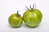 LYCOPERSICON ESCULENTUM, TOMATOES