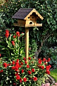 DAHLIA, CANNA INDICA WITH BIRD TABLE