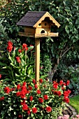 DAHLIA, CANNA INDICA WITH BIRD TABLE