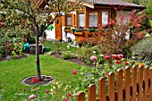 ALLOTMENT GARDEN WITH WOODEN HOUSE