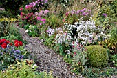 AUTUMNAL GARDEN WITH ASTERS. DESIGN: MARIANNE AND DETLEF LUEDKE