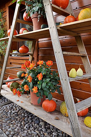 ETAGERE_WITH_DAHLIA_AND_PUMPKINS_DESIGN_MARIANNE_AND_DETLEF_LUEDKE