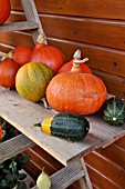 ETAGERE WITH PUMPKINS. DESIGN: MARIANNE AND DETLEF LUEDKE