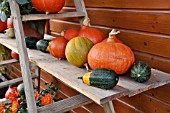 ETAGERE WITH PUMPKINS. DESIGN: MARIANNE AND DETLEF LUEDKE