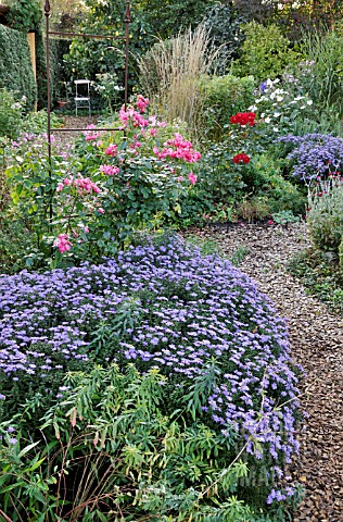 AUTUMNAL_GARDEN_WITH_ASTERS_DESIGN_MARIANNE_AND_DETLEF_LUEDKE