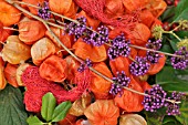 CALLICARPA, WITH PHYSALIS ALKEKENGI