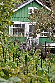 GARDEN HOUSE IN AN ALLOTMENT GARDEN