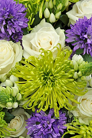 FLOWER_BOUQUET_WITH_CAMPANULA_ROSA_AND_CHRYSANTHEMUM