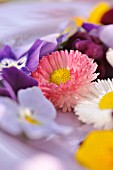 BELLIS PERENNIS AND VIOLA CORNUTA, CUT FLOWERS ON A PLATE