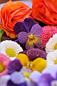 VIOLA CORNUTA, BELLIS PERENNIS AND RANUNCULUS ASIATICUS GAMBIT MIX, CUT FLOWERS ON A PLATE