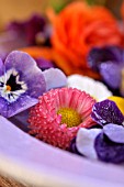 BELLIS PERENNIS AND VIOLA CORNUTA, CUT FLOWERS ON A PLATE