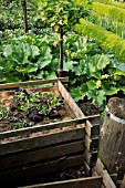 WOODEN COMPOST BIN IN AN ALLOTMENT GARDEN