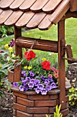 CALIBRACHOA, BIDENS AND PELARGONIUM IN A WOODEN WELL