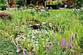 GARDEN POND WITH NYMPHAEA. DESIGN: MARIANNE AND DETLEF LUEDKE