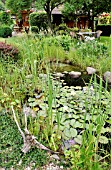 GARDEN POND WITH NYMPHAEA. DESIGN: MARIANNE AND DETLEF LUEDKE