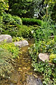 ARTIFICIAL BROOK IN A NATURAL GARDEN