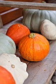 ETAGERE WITH PUMPKINS