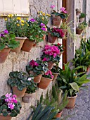 FLOWER POTS ON A HOUSE WALL,  MALLORCA, SPAIN