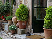 HOUSE ENTRANCE WITH FLOWER TUBS