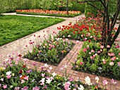 TULIPS IN FORMAL PLANTING, BRITZER GARTEN, BERLIN, GERMANY