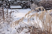 SNOWY PERENNIAL GARDEN