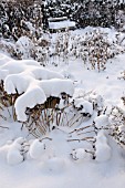 SNOWY PERENNIAL GARDEN