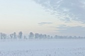 WINTER LANDSCAPE AT DUSK